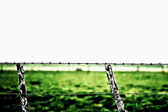 DSC_8300