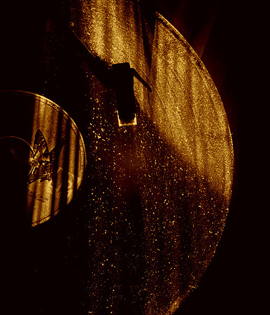 DS2_4460