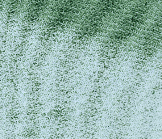 DSCF1042