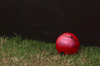 Whare Flat 2009-2010, The Eastern, Delgirl