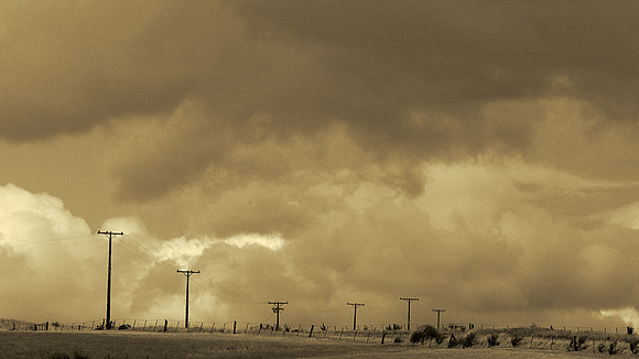 toned DSC_9253