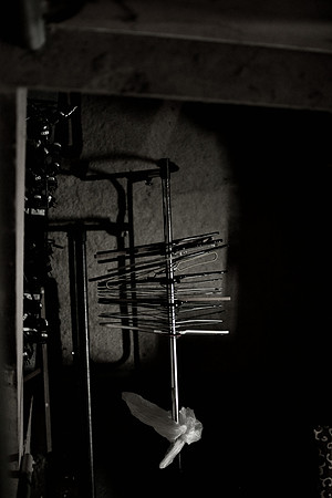 DSC_3695.jpg