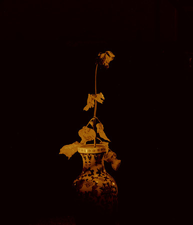 DS2_2041
