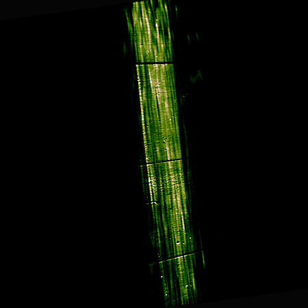 DS2_4453