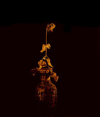 DS2_2044
