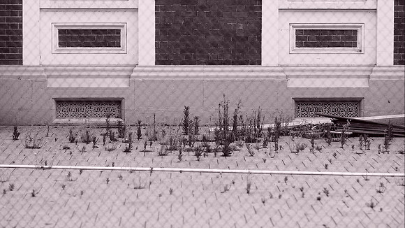 DS2_4850