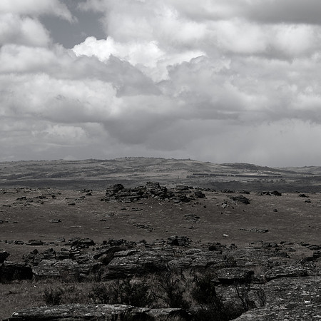 DSC_9247.jpg