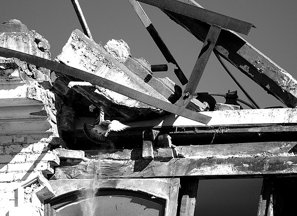DSC_8264
