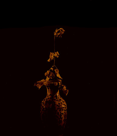 DS2_2043